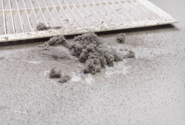 Best Affordable HVAC Duct Cleaning  in Luckey, OH