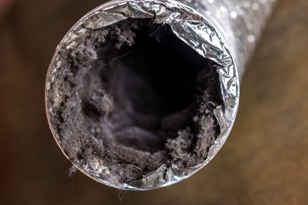 Best Home Air Vent Cleaning  in Luckey, OH