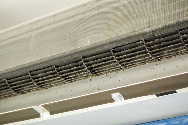 Best Duct Cleaning for Offices  in Luckey, OH